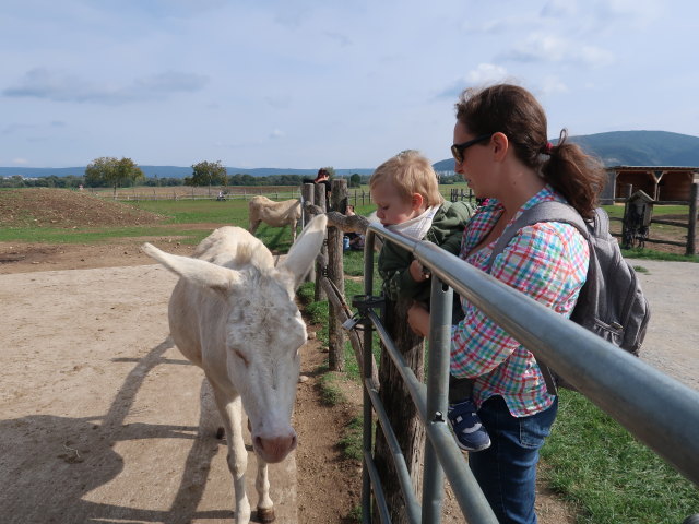 Nils und Sabine bei den wei&szlig;en Barockeseln