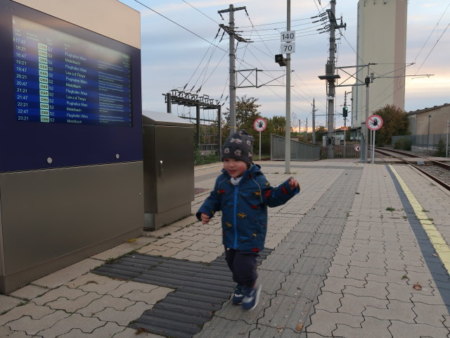 Nils im Bahnhof Ladendorf, 224 m