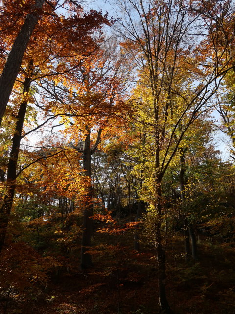 zwischen Bad V&ouml;slau und Harzberg