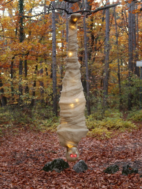 zwischen Harzberg und Bad V&ouml;slau