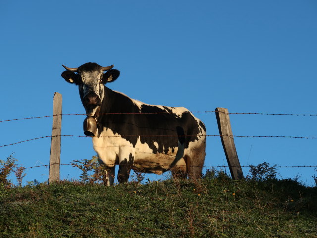 zwischen Vorderstadluck und Reschenbergalm