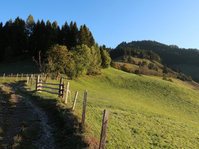 zwischen Vorderstadluck und Reschenbergalm