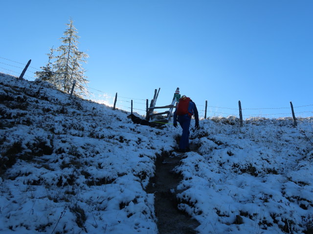 Georg zwischen Reschenbergalm und Saukarkopf