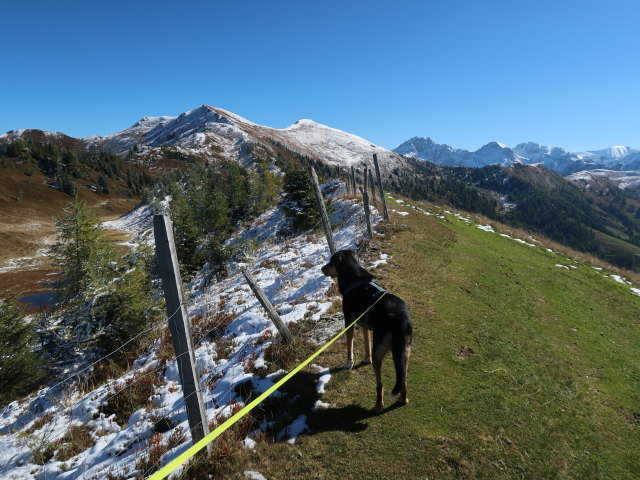 zwischen Karalm und Gr&uuml;ndegg