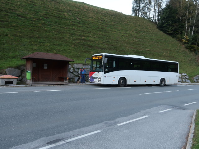 Georg in der Haltestelle Gro&szlig;arl Wimmbr&uuml;cke
