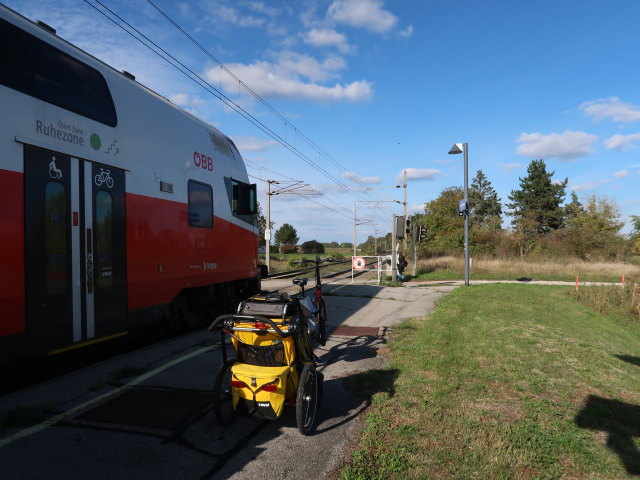 Bahnhof Sierndorf an der March, 153 m