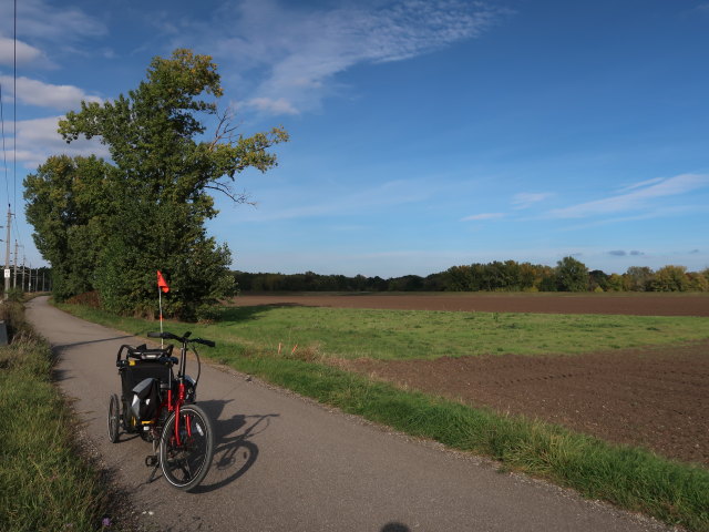 zwischen D&uuml;rnkrut und Grub an der March