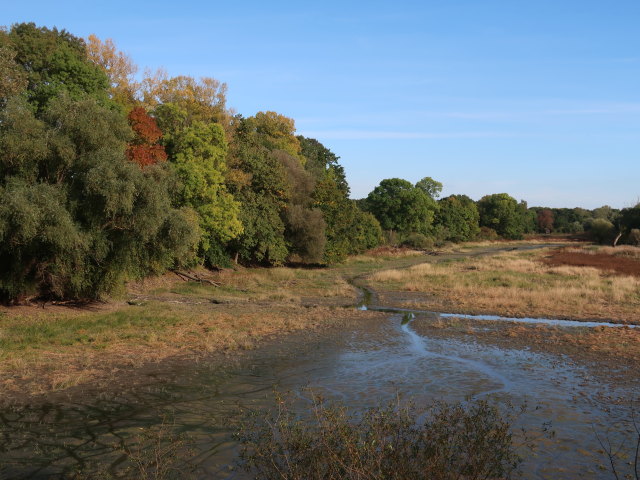 zwischen D&uuml;rnkrut und Grub an der March