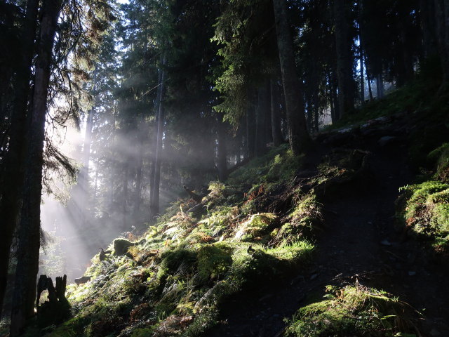 zwischen Pass Thurn und Gasthof Resterh&ouml;he (11. Okt.)