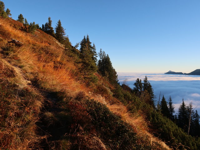 zwischen Haglangeralm und Gerstinger Joch (12. Okt.)