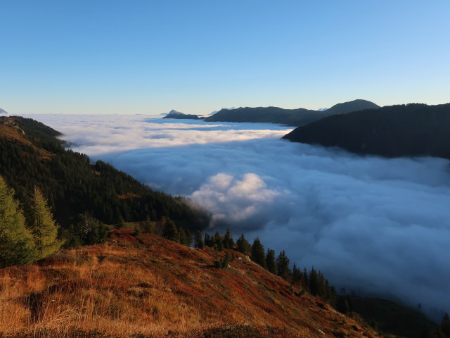 zwischen Haglangeralm und Gerstinger Joch (12. Okt.)