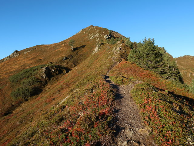 zwischen Haglangeralm und Gerstinger Joch (12. Okt.)