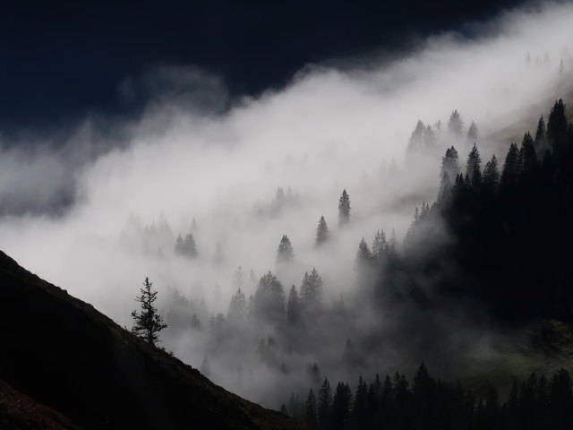 Unterer Grund (12. Okt.)