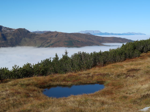 zwischen Gerstinger Joch und Kleinem Tanzkogel (12. Okt.)