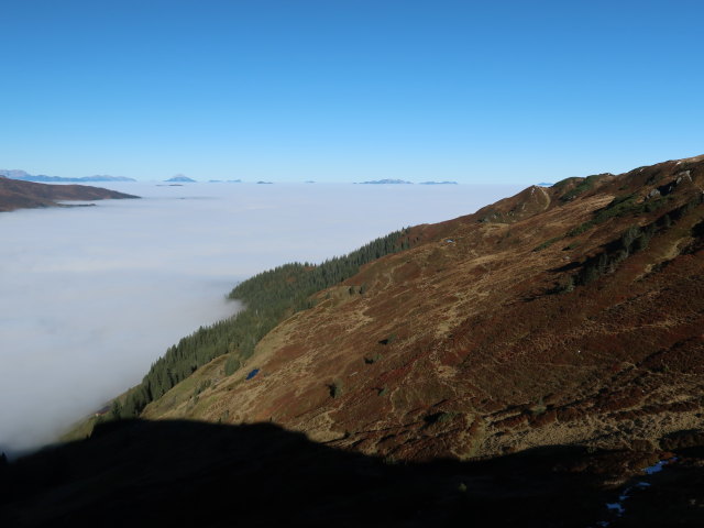 Gerstinger Tretl (12. Okt.)