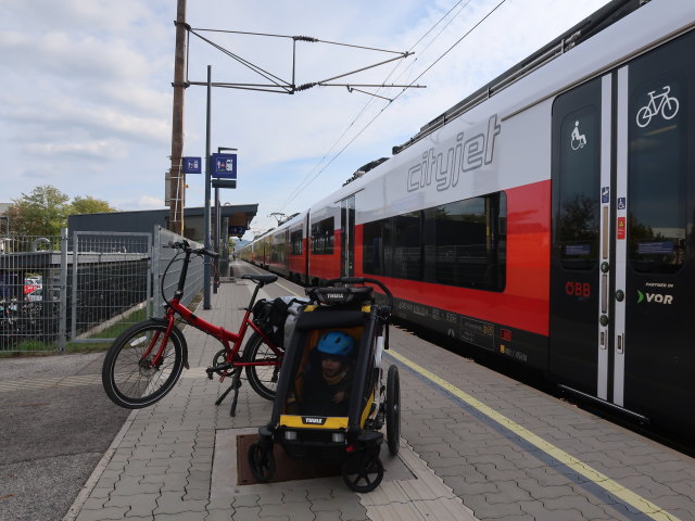 Nils im Bahnhof Leobendorf-Burg Kreuzenstein, 174 m