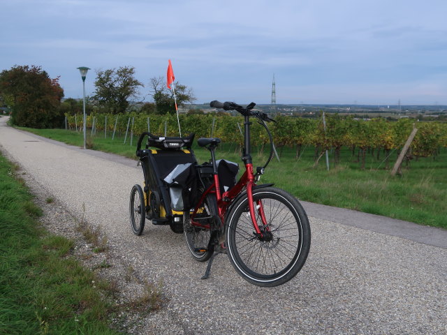 zwischen K&ouml;nigsbrunn und Hagenbrunn