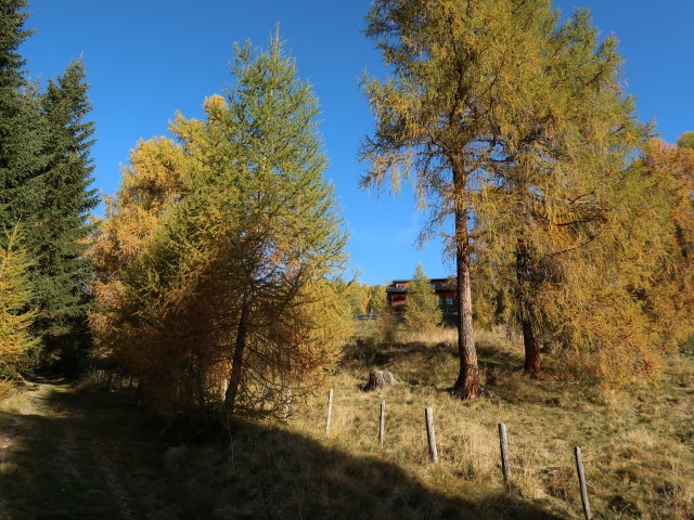 zwischen Parkplatz Wildbachh&uuml;tte und Wildbachh&uuml;tte