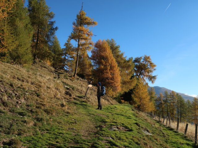 Frank zwischen Wildbachh&uuml;tte und Gumma
