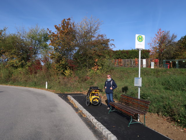 Sabine in der Haltestelle Au bei Ernstbrunn Abzweigung Oberleis