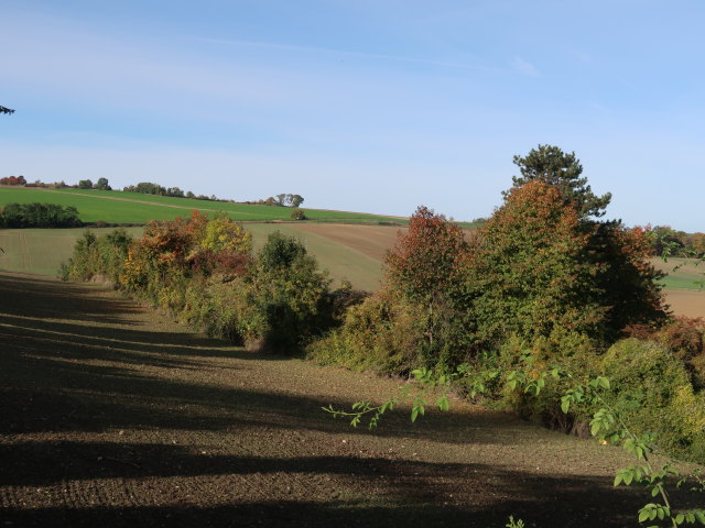 zwischen Au und Oberleis