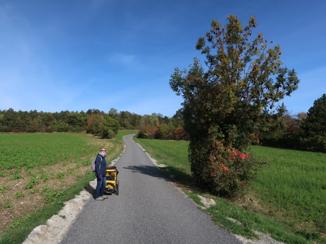 Sabine zwischen Oberleis und Au