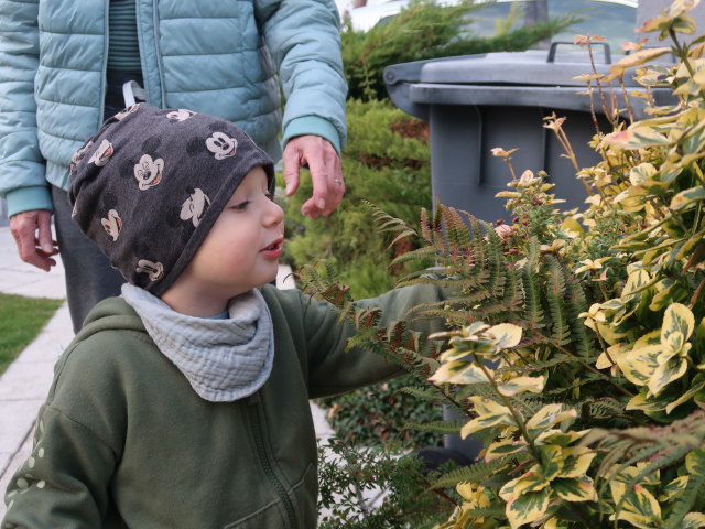 Mama und Nils im Garten meiner Eltern (22. Okt.)
