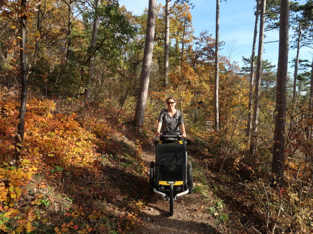 Sabine zwischen Bad V&ouml;slau und Harzberg