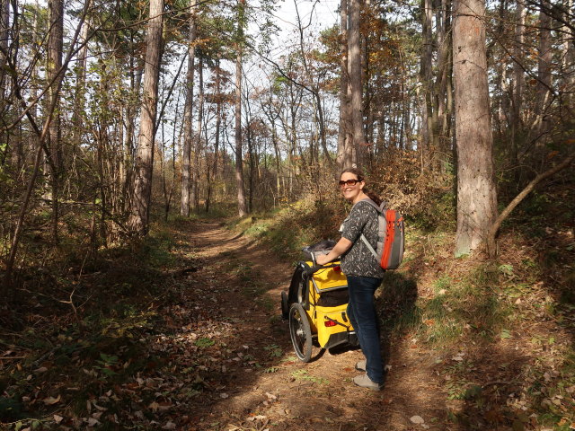 Sabine zwischen Bad V&ouml;slau und Harzberg
