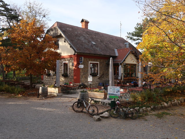 Schutzhaus am Harzberg, 466 m