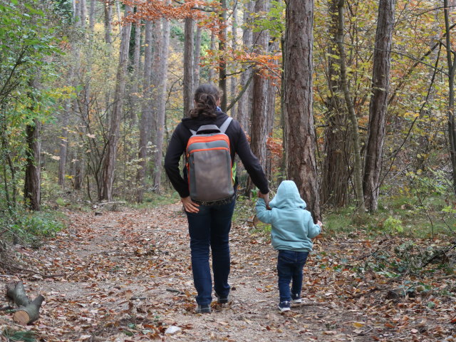 Sabine und Nils zwischen Harzberg und Bad V&ouml;slau