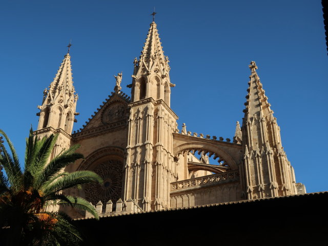 Catedral de Mallorca in Palma (12. Nov.)