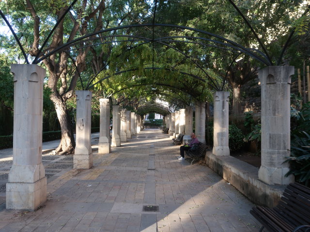 S'Hort del Rei in Palma (12. Nov.)