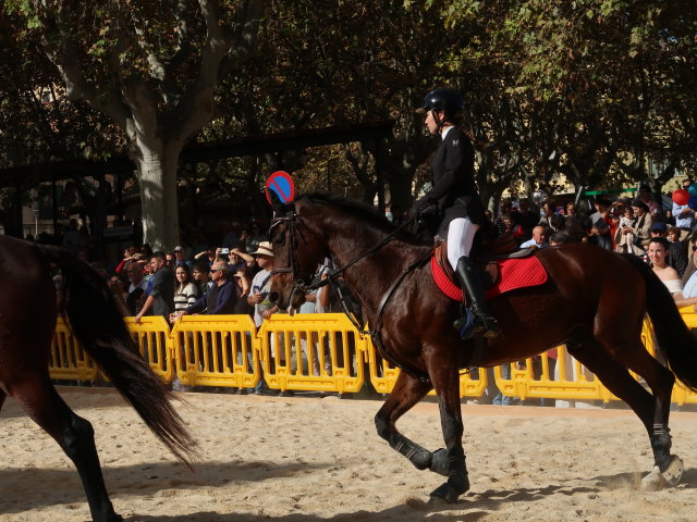 Pla&ccedil;a Font Vella in Inca (13. Nov.)