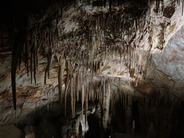 Coves del Drac in Porto Cristo (17. Nov.)