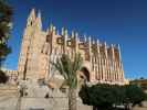 Catedral de Mallorca in Palma (12. Nov.)