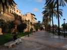 Sabine und Nils in der Passeig de Sagrera in Palma (15. Nov.)