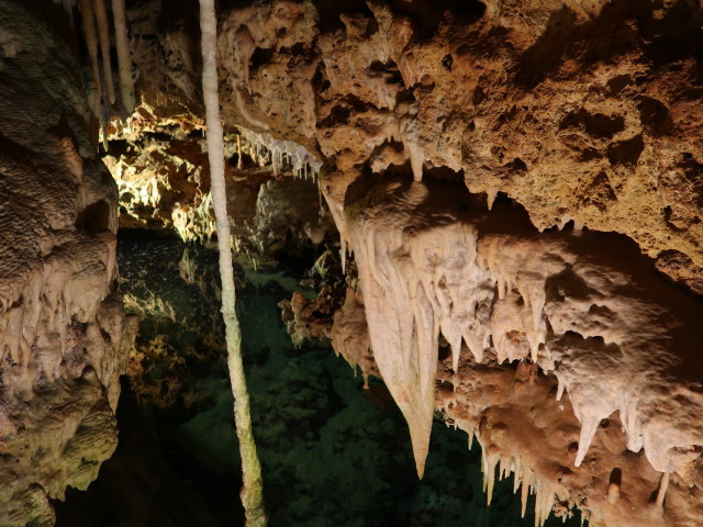 Coves dels Hams in Porto Cristo (21. Nov.)