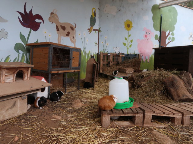 Fresopolis Mallorca (23. Nov.)