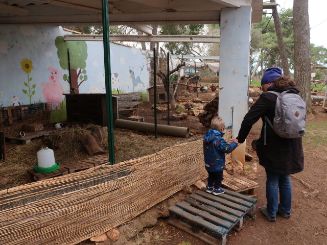 Nils und Sabine in Fresopolis Mallorca (23. Nov.)