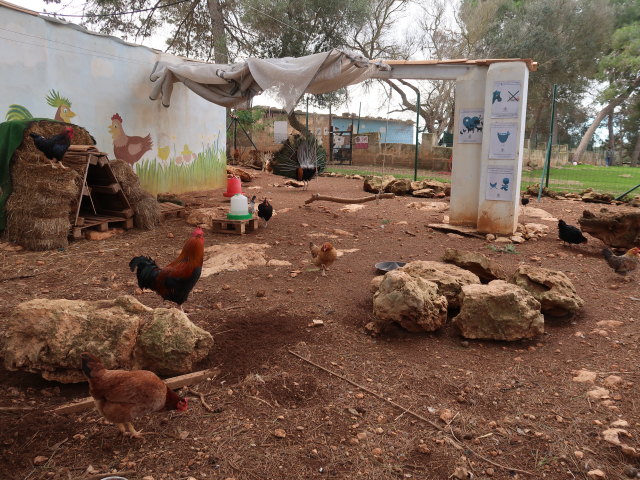 Fresopolis Mallorca (23. Nov.)