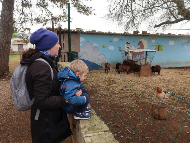 Sabine und Nils in Fresopolis Mallorca (23. Nov.)