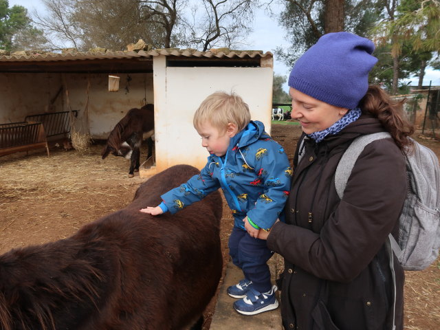 Nils und Sabine in Fresopolis Mallorca (23. Nov.)