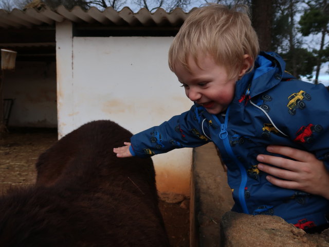 Nils in Fresopolis Mallorca (23. Nov.)