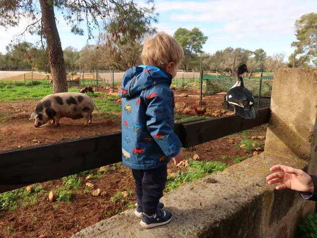 Nils in Fresopolis Mallorca (23. Nov.)