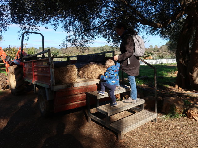 Nils und Sabine in Fresopolis Mallorca (23. Nov.)