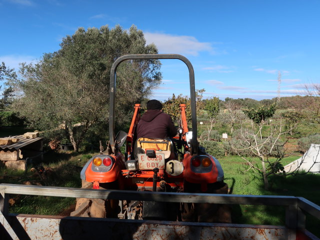 Fresopolis Mallorca (23. Nov.)