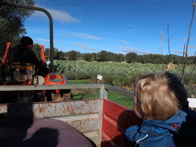 Nils in Fresopolis Mallorca (23. Nov.)