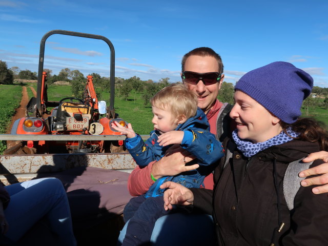 Nils, ich und Sabine in Fresopolis Mallorca (23. Nov.)