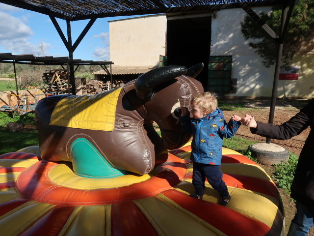 Nils in Fresopolis Mallorca (23. Nov.)